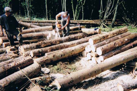 Démontage forestier Haute-Marne